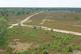 Aussichtsturm Sielmann-Hügel