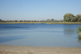 Blankenburger See