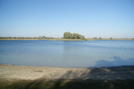 Blankenburger See