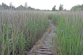 NABU-Naturerlebniszentrum Blumberger Mühle