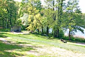 Badestelle Langer See
