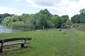 Badestrand Trebuser See