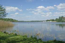 Grienericksee
