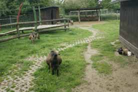 Naturerlebnis Uckermark