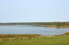 Naturbeobachtungsstation Grimnitzsee-Althüttendorf