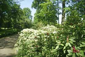 Spreeauenpark