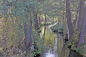 Innerer Oberspreewald