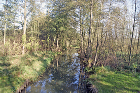 Innerer Oberspreewald