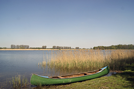 Teichland Linum