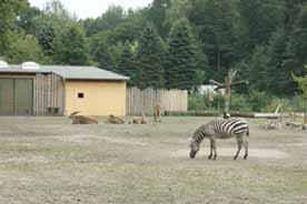 Tierpark Finsterwalde