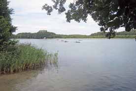 Zenssee